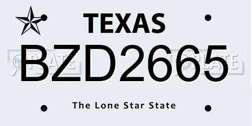 BZD2665 Texas License Plate