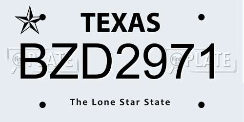 BZD2971 Texas License Plate