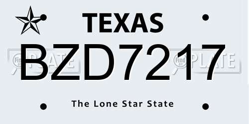 BZD7217 Texas License Plate