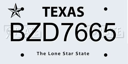 BZD7665 Texas License Plate