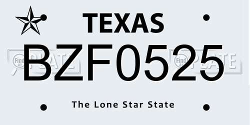 BZF0525 Texas License Plate