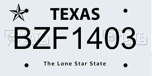 BZF1403 Texas License Plate
