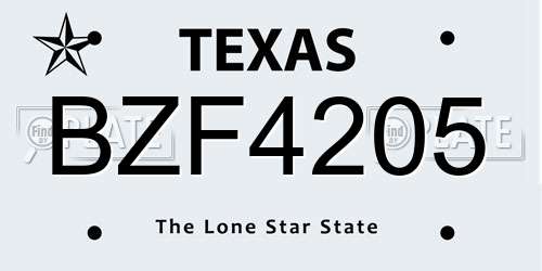 BZF4205 Texas License Plate