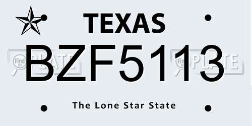 BZF5113 Texas License Plate