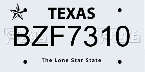 BZF7310 Texas License Plate
