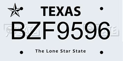 BZF9596 Texas License Plate
