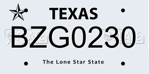 BZG0230 Texas License Plate