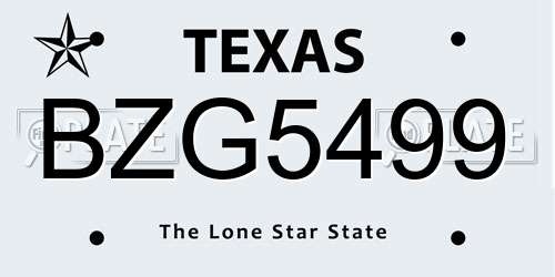BZG5499 Texas License Plate