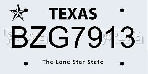 BZG7913 Texas License Plate