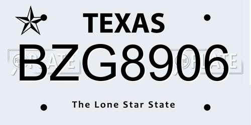 BZG8906 Texas License Plate