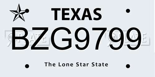 BZG9799 Texas License Plate