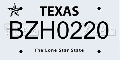 BZH0220 Texas License Plate