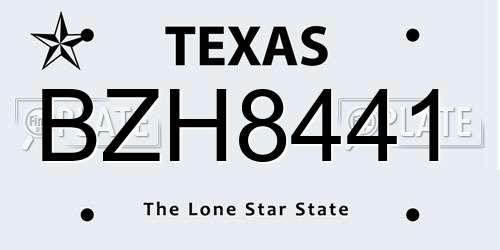 BZH8441 Texas License Plate