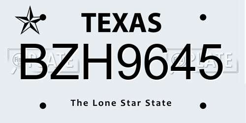 BZH9645 Texas License Plate