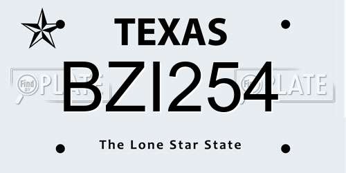 BZI254 Texas License Plate