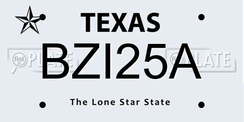 BZI25A Texas License Plate