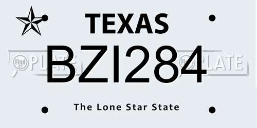 BZI284 Texas License Plate