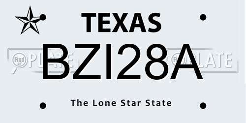 BZI28A Texas License Plate