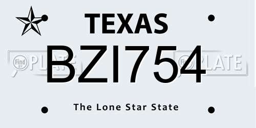 BZI754 Texas License Plate
