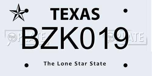 BZK019 Texas License Plate