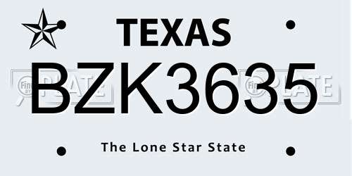 BZK3635 Texas License Plate