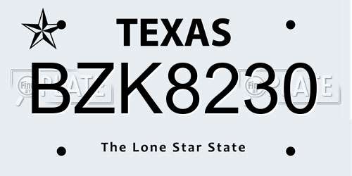 BZK8230 Texas License Plate