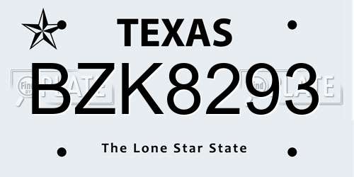 BZK8293 Texas License Plate