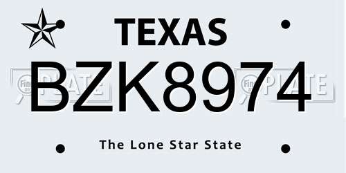BZK8974 Texas License Plate