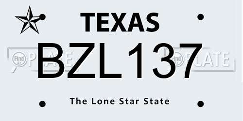 BZL137 Texas License Plate