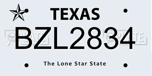 BZL2834 Texas License Plate