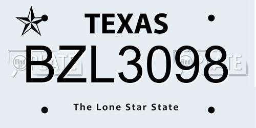 BZL3098 Texas License Plate