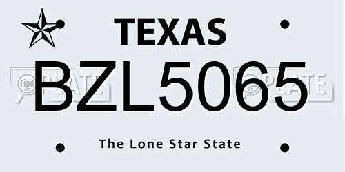 BZL5065 Texas License Plate