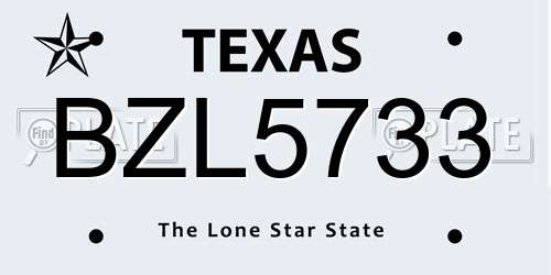 BZL5733 Texas License Plate
