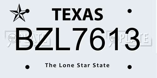 BZL7613 Texas License Plate