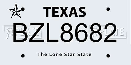 BZL8682 Texas License Plate
