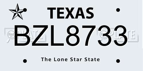 BZL8733 Texas License Plate
