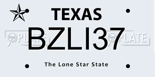 BZLI37 Texas License Plate