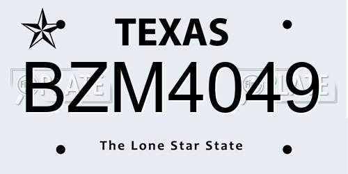 BZM4049 Texas License Plate