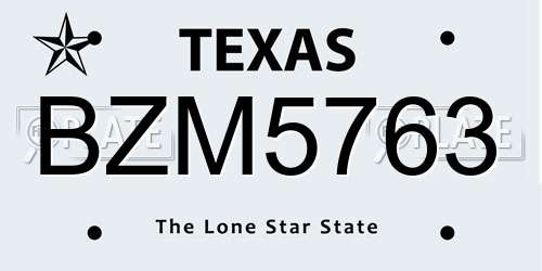 BZM5763 Texas License Plate