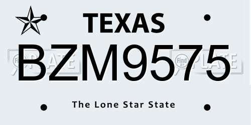 BZM9575 Texas License Plate