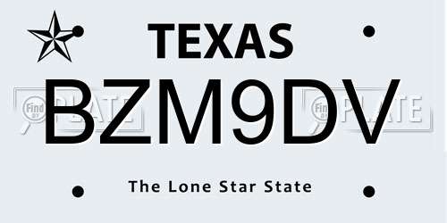 BZM9DV Texas License Plate