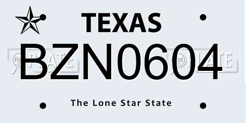 BZN0604 Texas License Plate