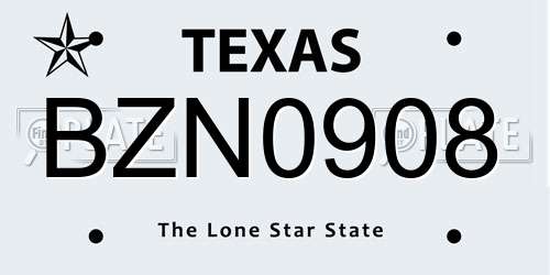 BZN0908 Texas License Plate