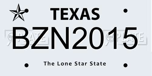 BZN2015 Texas License Plate
