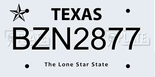BZN2877 Texas License Plate