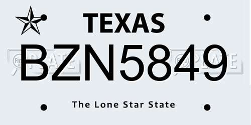 BZN5849 Texas License Plate