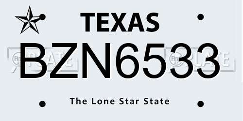 BZN6533 Texas License Plate