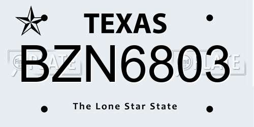 BZN6803 Texas License Plate