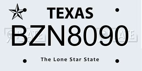 BZN8090 Texas License Plate