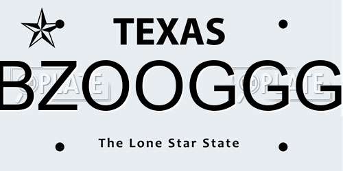 BZOOGGG Texas License Plate